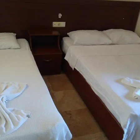 Palmeras 2*